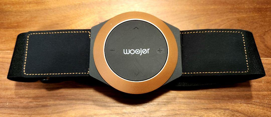 35%OFF】 体感型スピーカー WOOJER タイプ) ストラップ (ウージャー