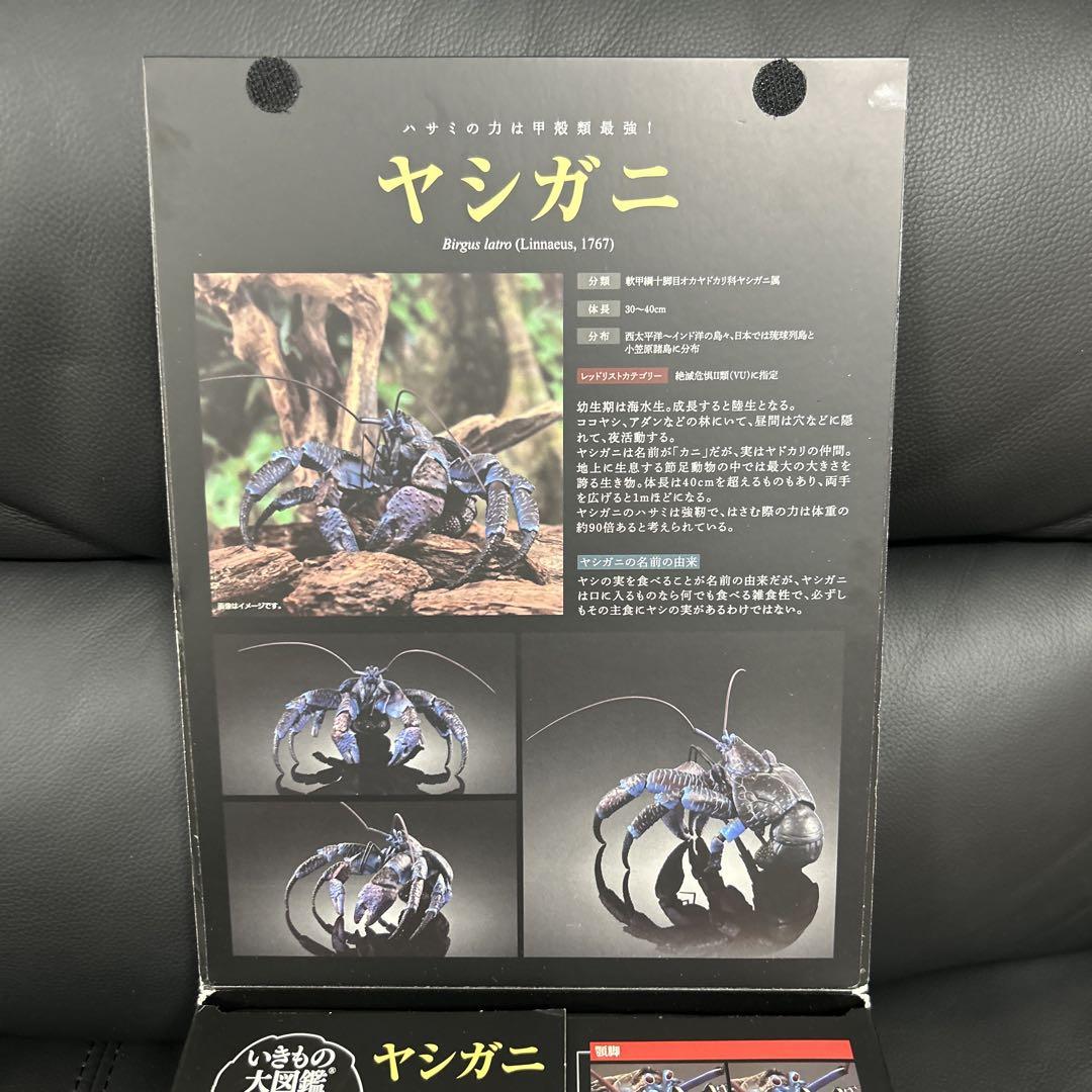 24時間限定タイムセール いきもの大図鑑プレミアム ヤシガニ メルカリ - ジャンク その他