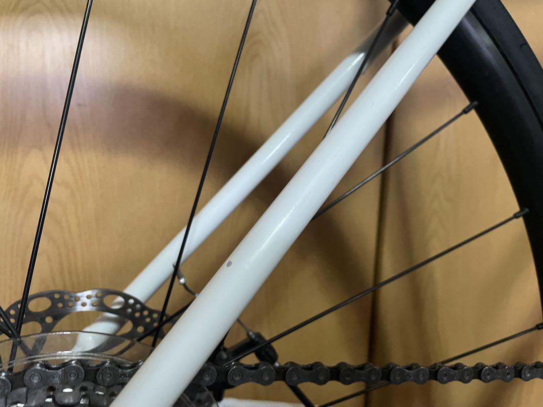 TREK DOMANE