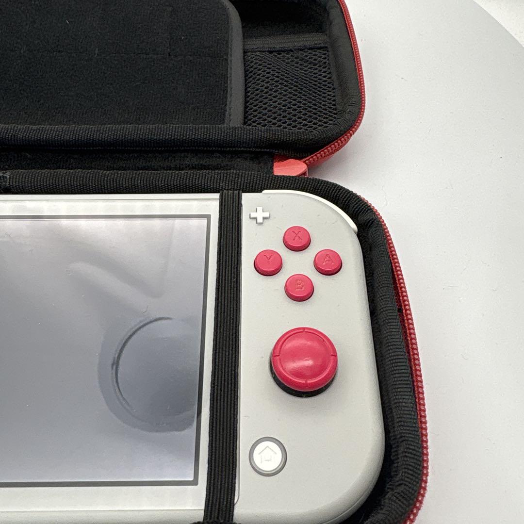 Nintendo switch lite ザシアンザマゼンタ ケース付き