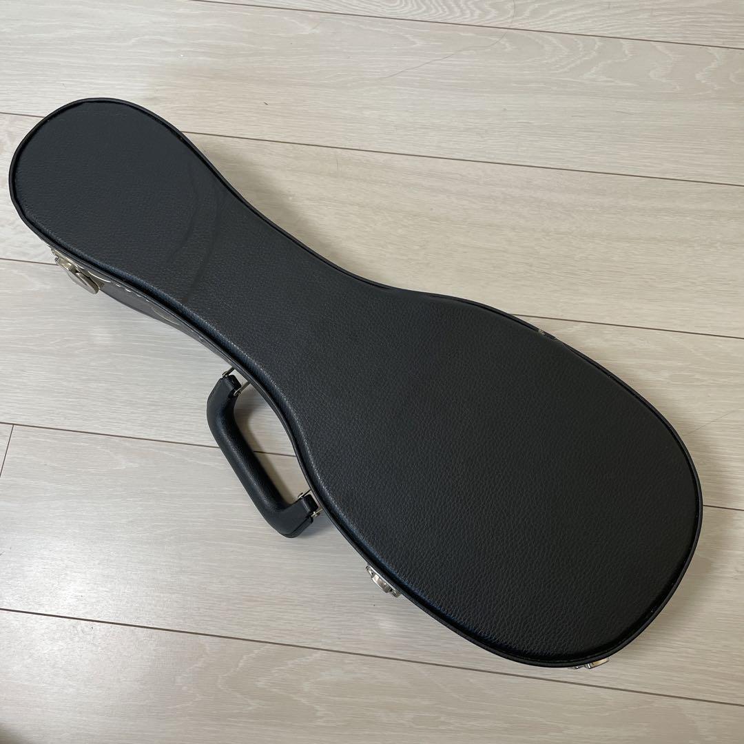 フェイマス Famous FS-5G ハードケース付きスタートセット フェイマス Famous FS-5G ハードケース付きスタートセット