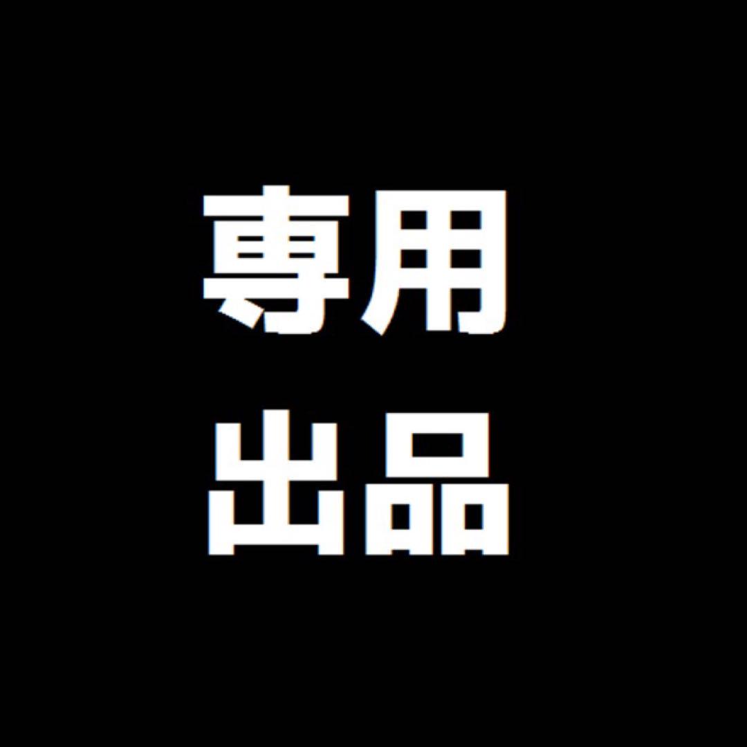 みことら出品 フィギュア