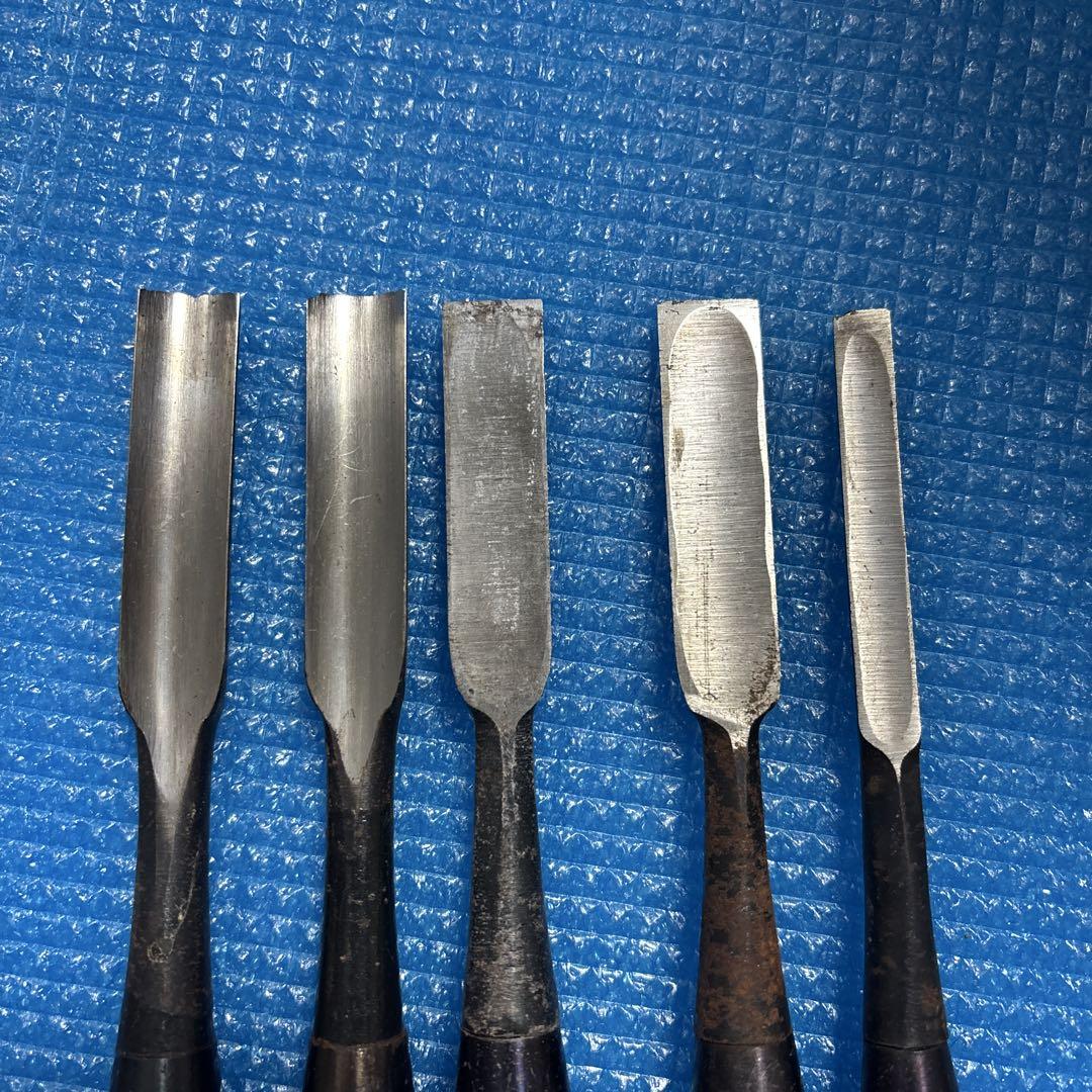 ノミ