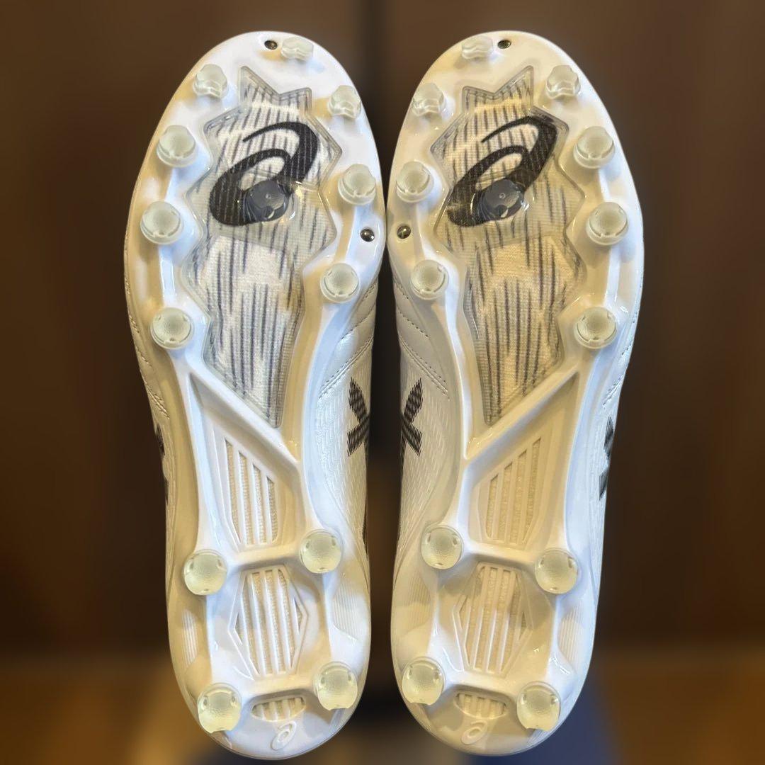 早い者勝ち　ASICS DS LIGHT X-FLY PRO 2