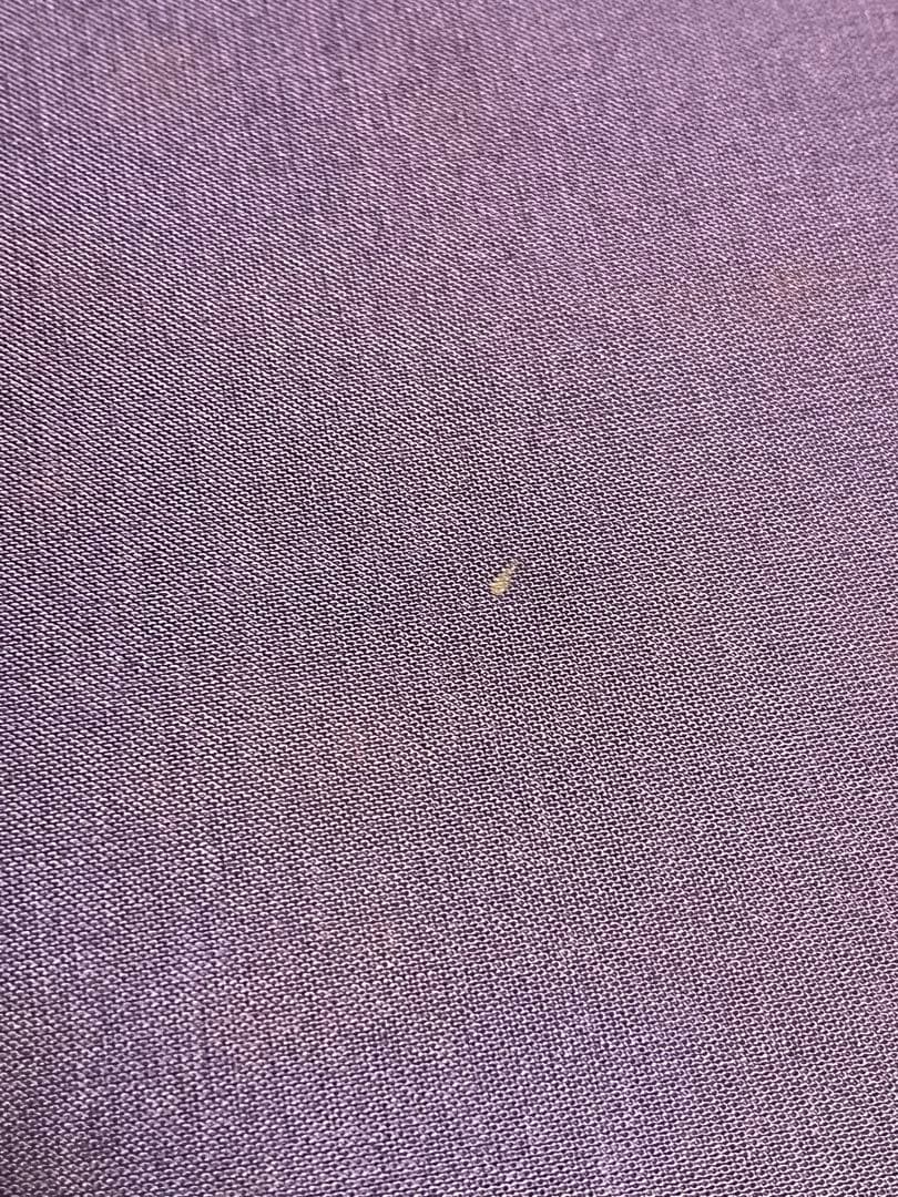 Steiff Hello 2000 Good-Bye 1999 670367 Steiff Hello 2000 Good-Bye 1999 670367