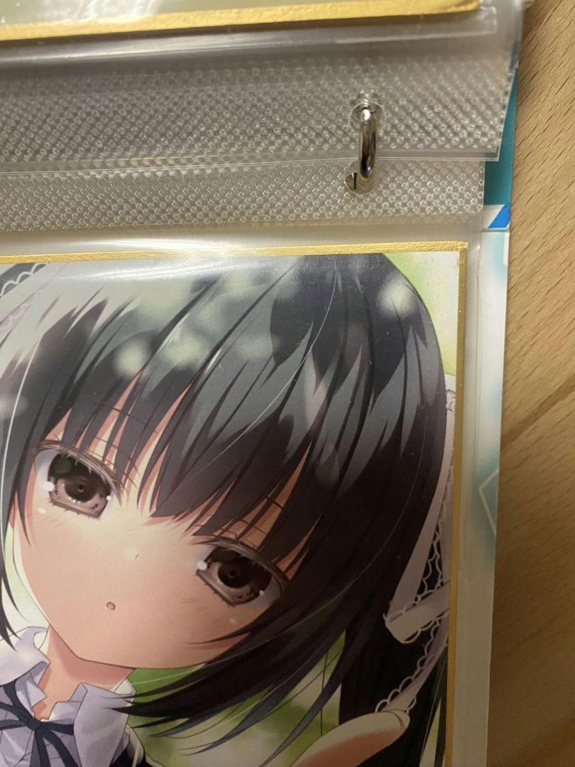 色紙