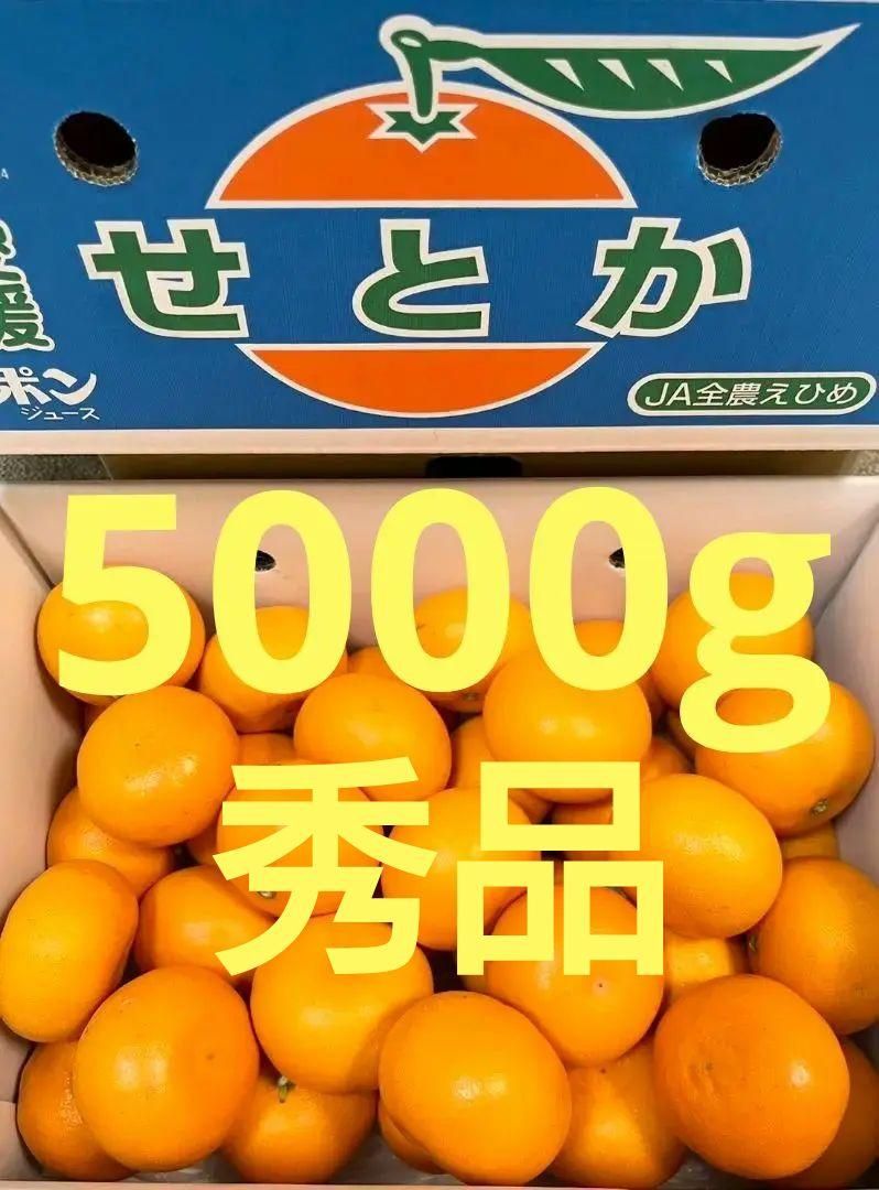 可愛らしい 秀品「せとか」5000g 愛媛中央より