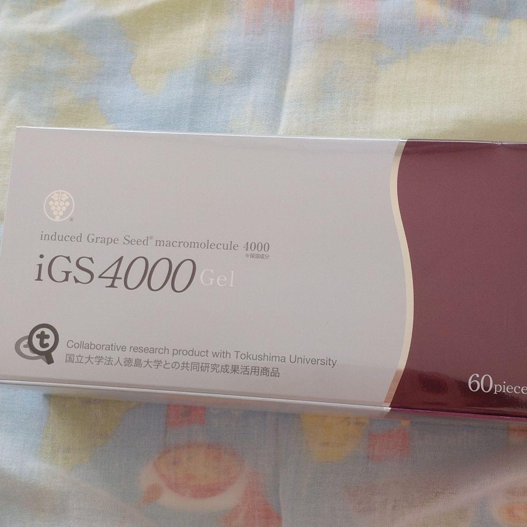 iGs4000