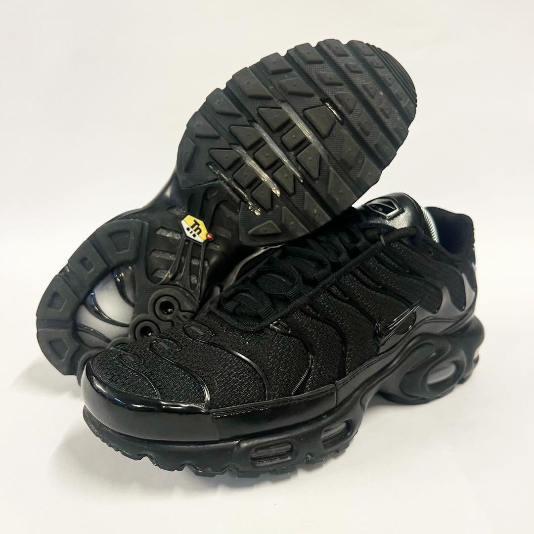 靴 nike max plus tn