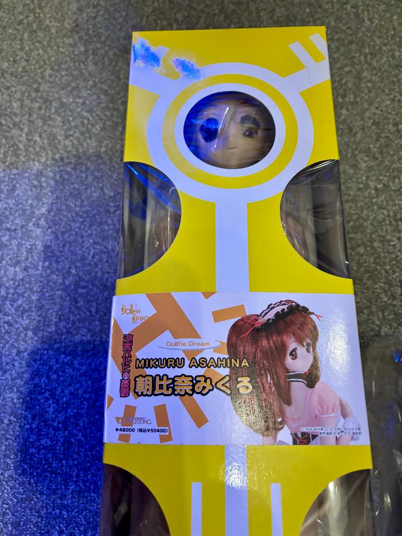 真中様 ドルフィードリーム