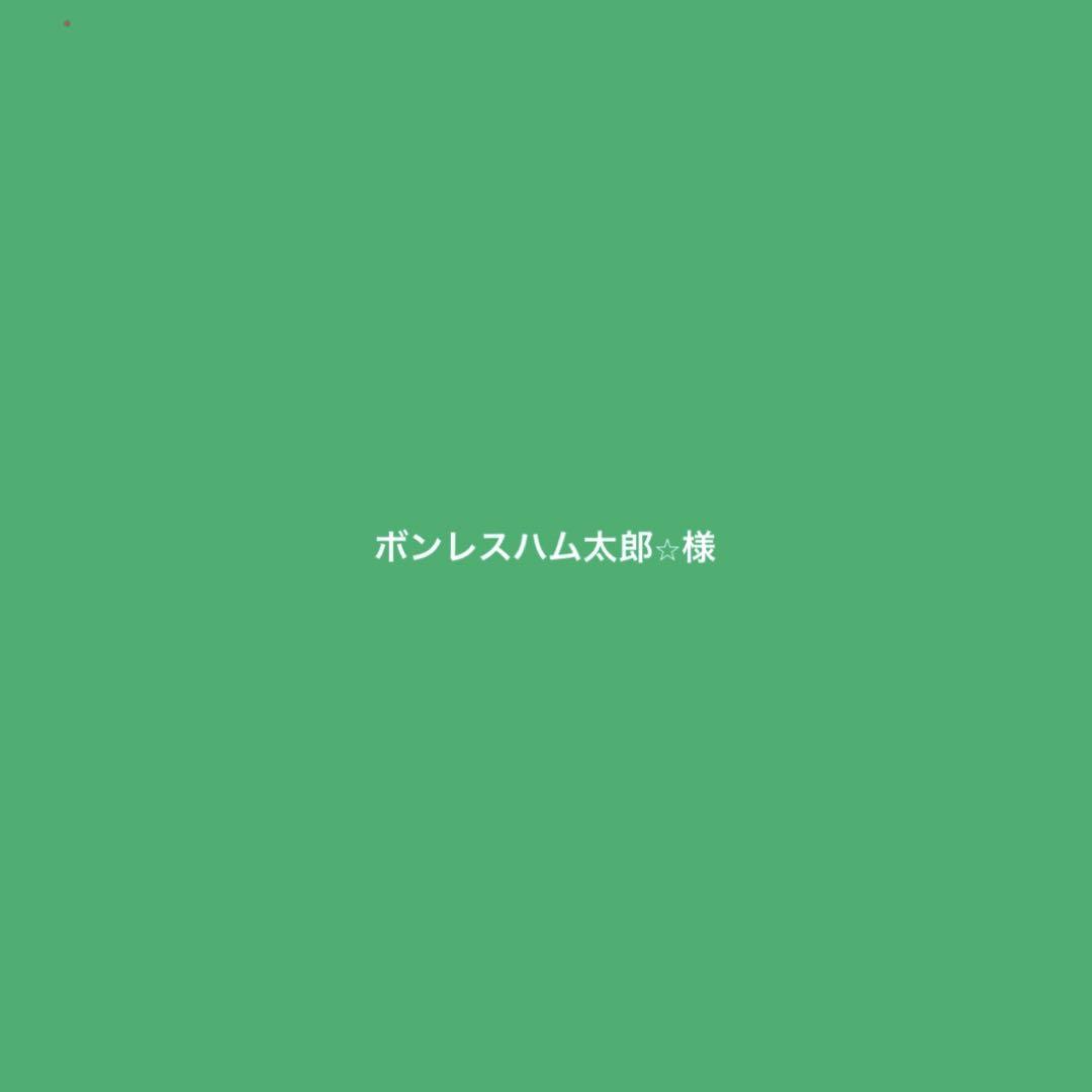 ボンレスハム太郎⭐︎様 BS半袖プル　シルバー、サンドb