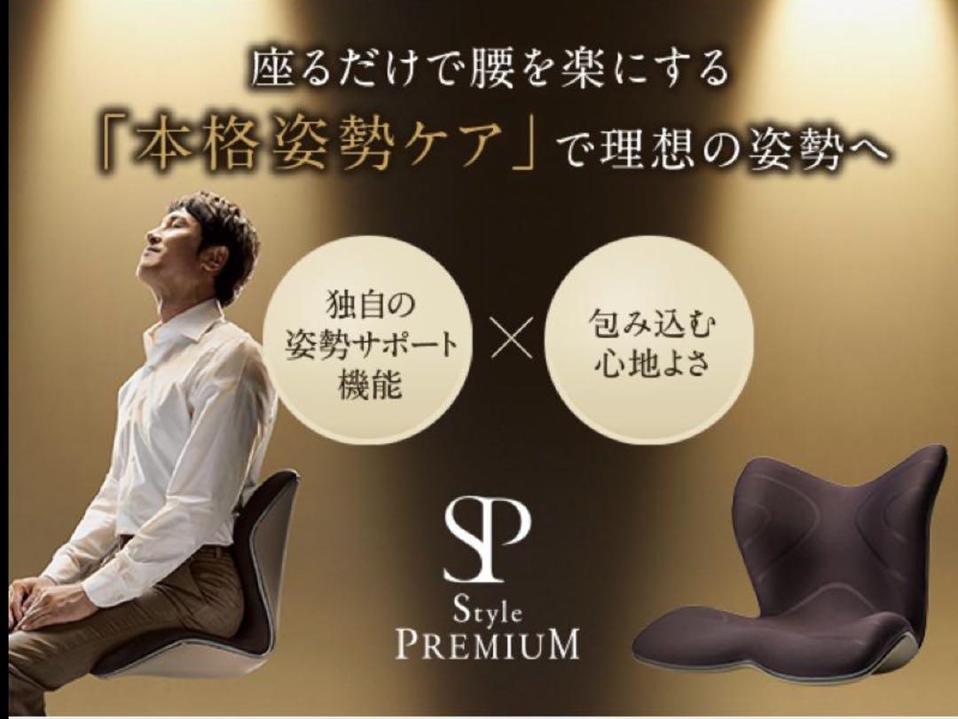 姿勢ケアシート Style PREMIUM スタイル プレミアム2 MTG