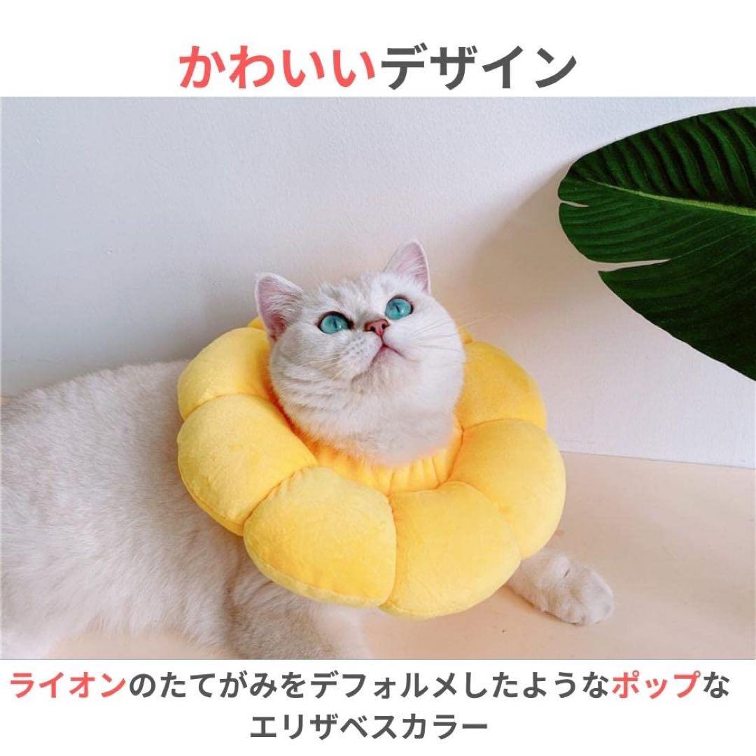治療