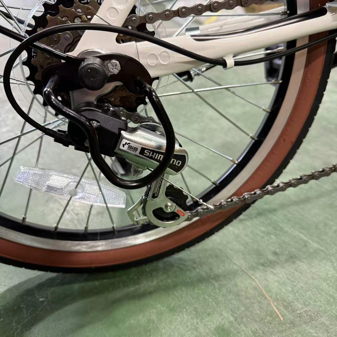 PELTECHペルテック折り畳み電動アシスト自転車 20インチ　TDN-206L