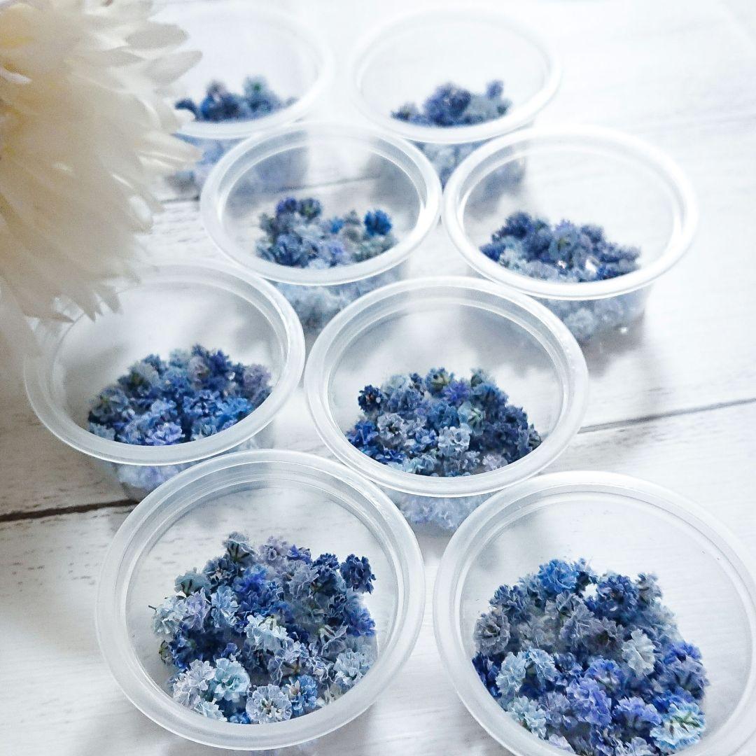 中小粒 かすみ草ドライフラワー✢コスモブルー YUZUMIYA_COM