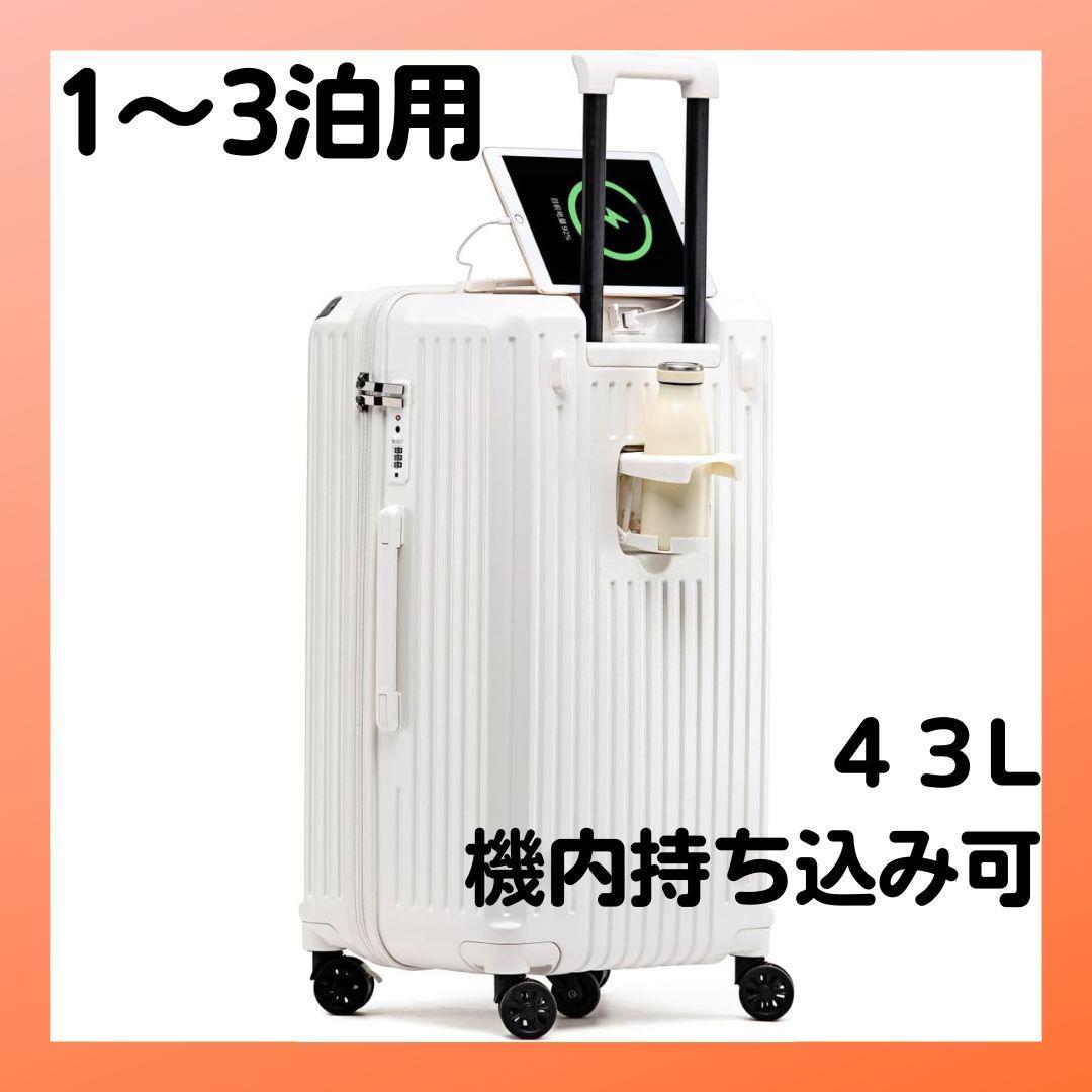最高級】美品⭐️CYHD YUKIKO HANAI クロコ 金ロゴ バケツ型