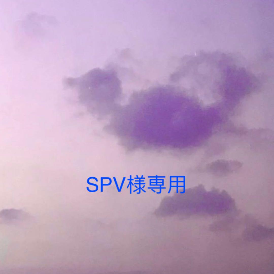 ピンク系オリジナル SPV様専用 Tシャツ その他 メンズピンク系¥9,632 安価 ワタナベ SPV様専用 Tシャツ/カットソー(半袖/袖なし)