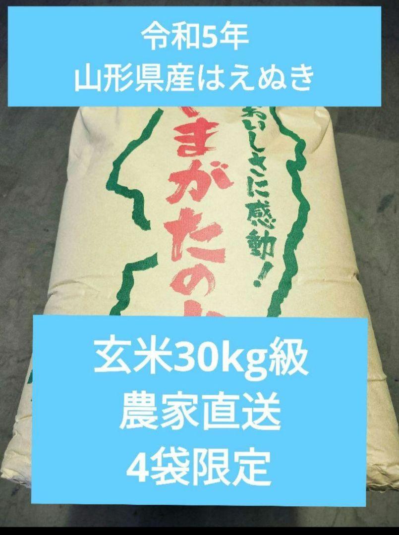 山形県産はえぬき　玄米30キロ　令和5年産