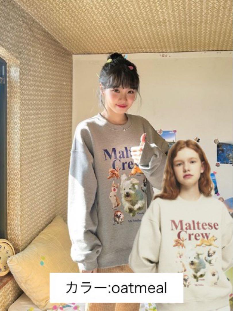 Wai Kei◆Maltese crew sweatshirts LE SSERAFIM着用 口コミ・レビュー｜Wai Kei◇Maltese crew sweatshirts LE