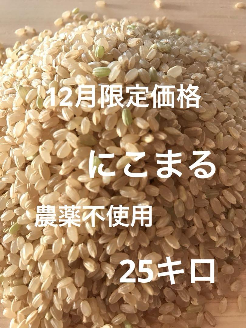 令和5年新米　京都玄米   青米入り　にこまる　農薬不使用　有機肥料　25キロ
