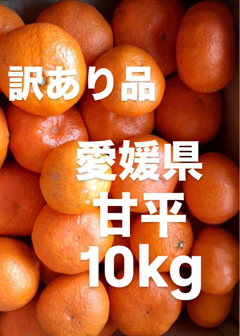 訳あり　愛媛県　家庭用　甘平　柑橘　 10kg