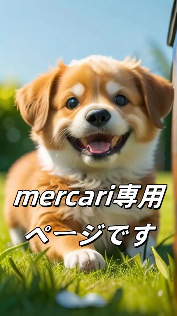 ぷう~ 様
