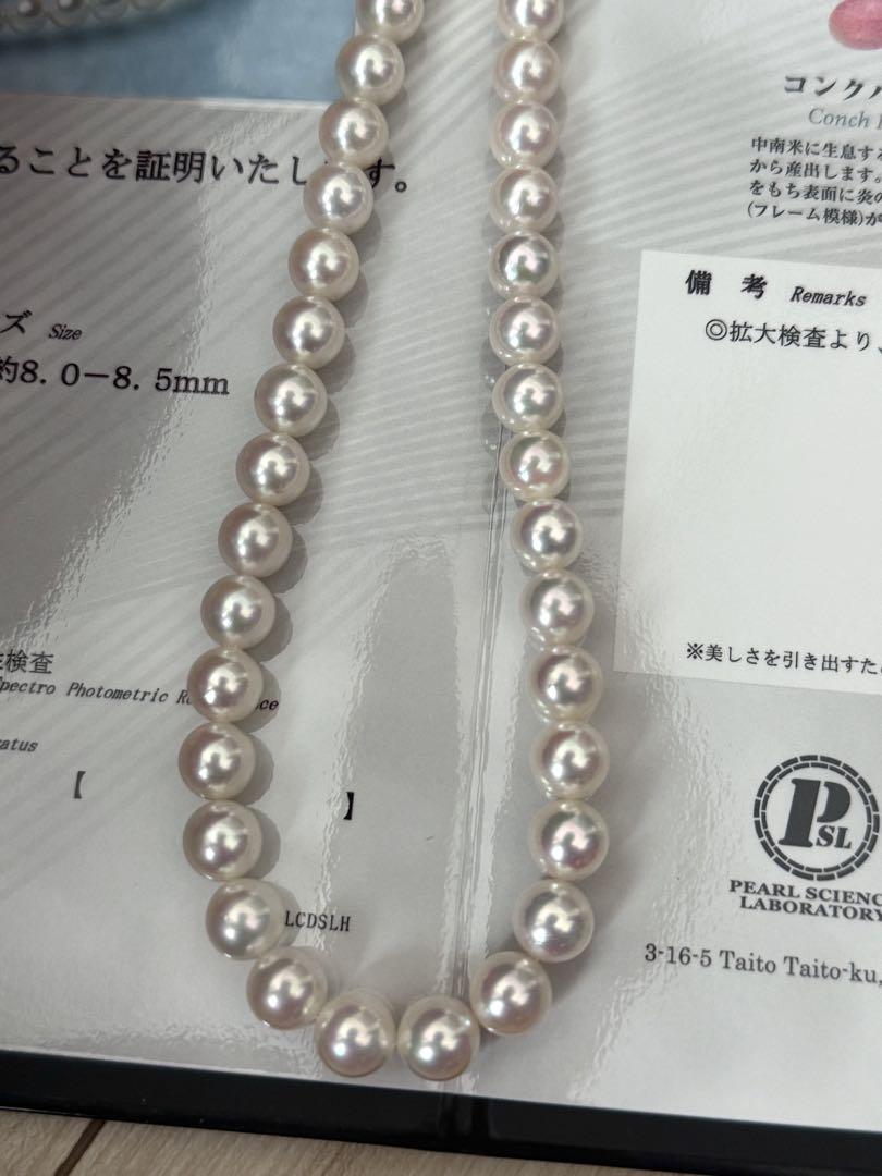 美品花珠級テリー！アコヤパールネックレス8-8.5mm 鑑別書付