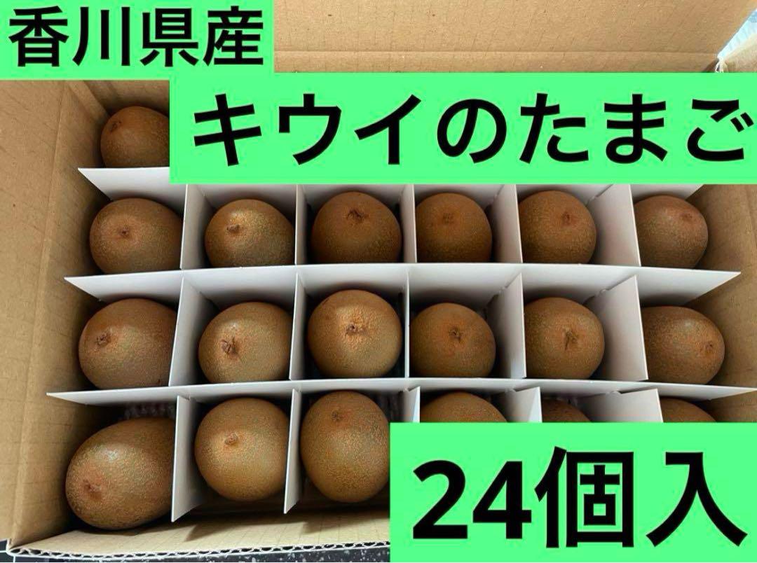 41【鹿児島県産】金柑(きんかん)春姫+キウイ+あんぽ柿L18玉