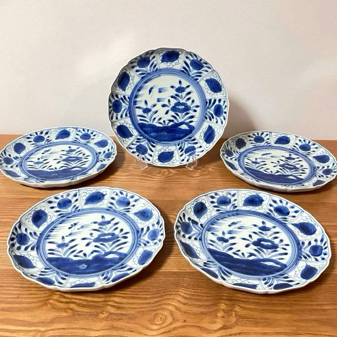 有田焼 染付芙蓉手 輪花皿 大皿