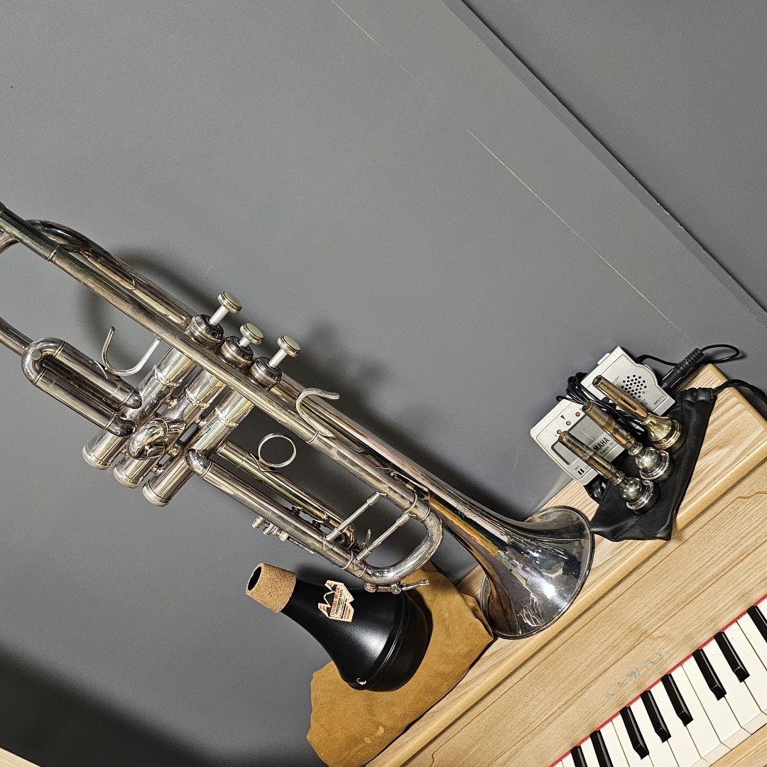 YAMAHA ヤマハ アコーディオン YA-18 廃盤品 30鍵盤 18ベース