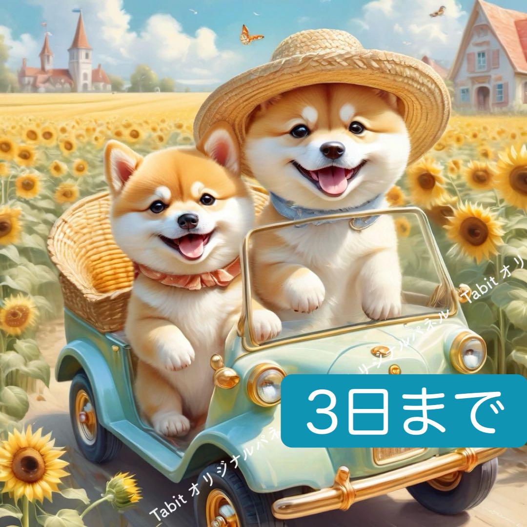 Tabit＊夏＊ドライブ　柴犬／17.5×17.5cm／6柄パネル生地