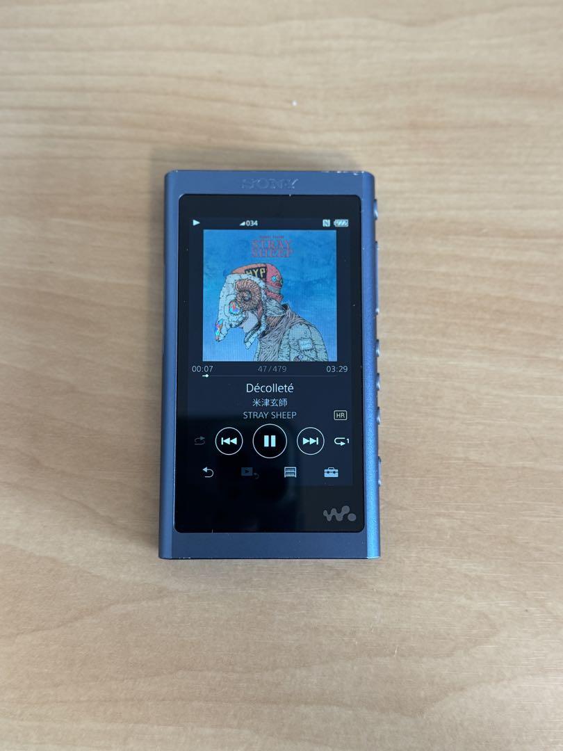 SONY ウォークマン Aシリーズ  WALKMAN NW-A55(L)