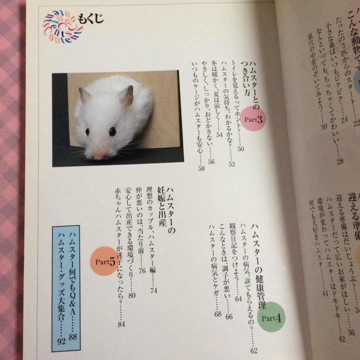 かわいいハムスターの飼い方 育て方 高嶺 一司 メルカリ かわいいハムスターの飼い方 育て方 高嶺 一司 メルカリ