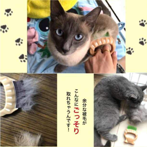オレンジ ペット コーム グルーミング 抜け毛 被毛 犬 猫 うさぎ 人気 - メルカリ オレンジ ペット コーム グルーミング 抜け毛 被毛 犬 猫 うさぎ 人気 - メルカリ