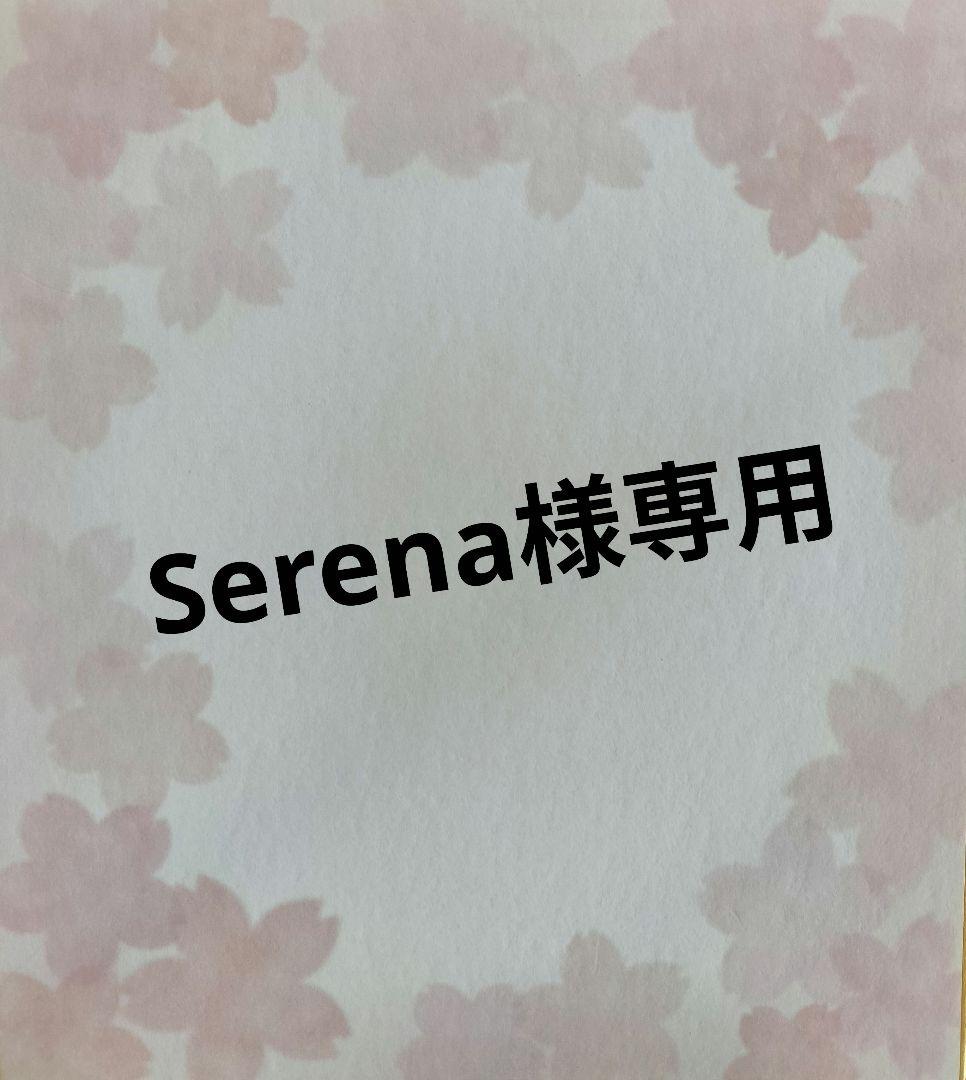 専用ページ