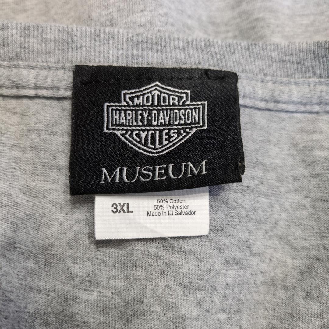 ハーレーダビッドソン　イーグル　鷲　ロゴ　エンブレム　ノースリーブ　両面　3XL