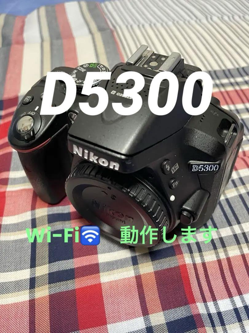 Nikon  ニコン　D5300  作例あり　でも訳あり　ジャンク