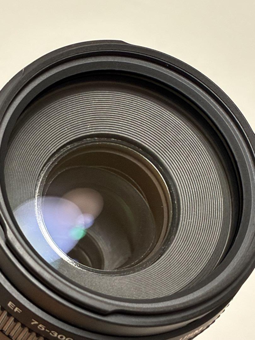 ⭐️美品⭐️Canon EF 75-300mm F4-5.6 III 望遠レンズ