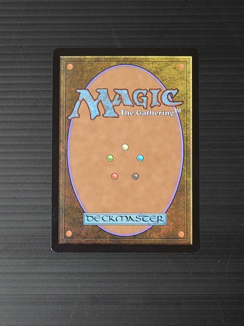 MTGマジックザギャザリング 行き届いた書庫 日本語版、英語版