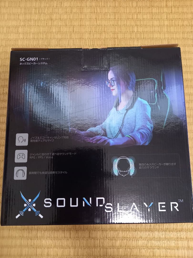 2022特集 Panasonic SC-GN01-K BLACK ネックスピーカー その他