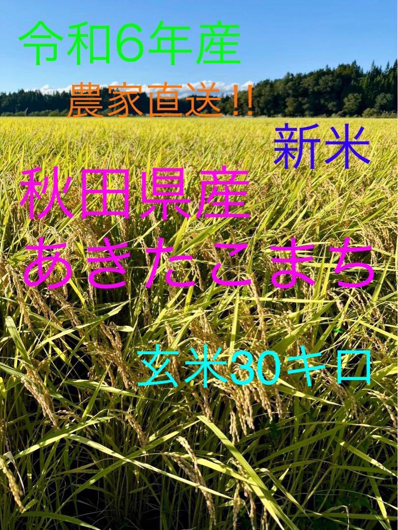 ★令和6年産★新米　秋田県産あきたこまち　玄米30キロ　精米　白米　米‼︎