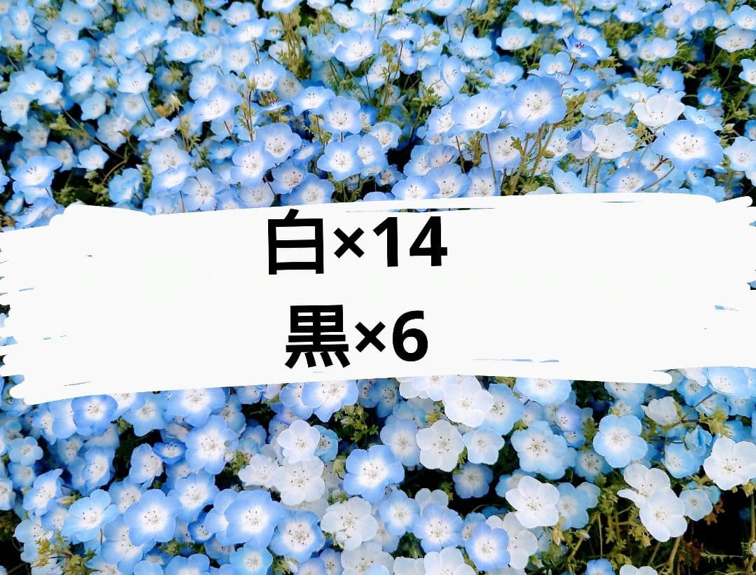 700m　シャッペスパン　60番　ミシン糸