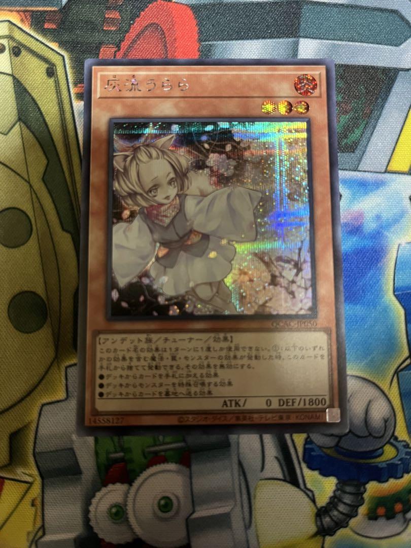 遊戯王　25th QCAC SE ブラックマジシャンガール　うらら