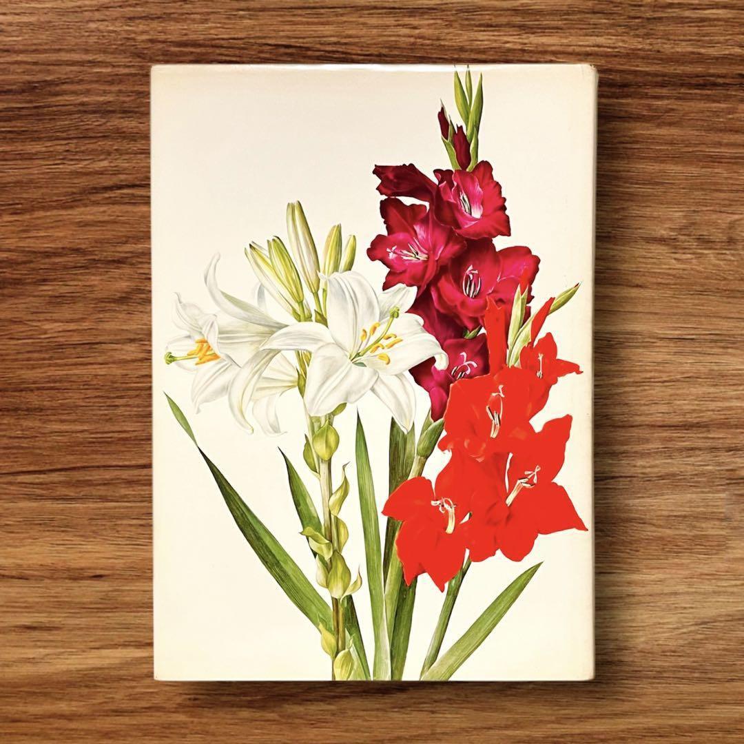 【70％OFF】 洋書 ボタニカルアート 植物 ビンテージ アンティーク 60年代 洋書