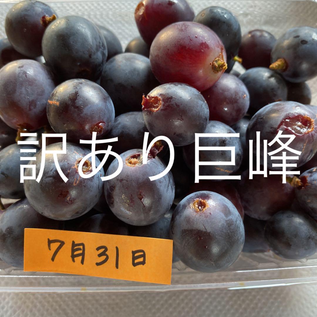 訳あり巨峰 粒 約1キロ