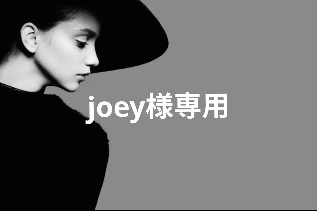 ワンピース joey