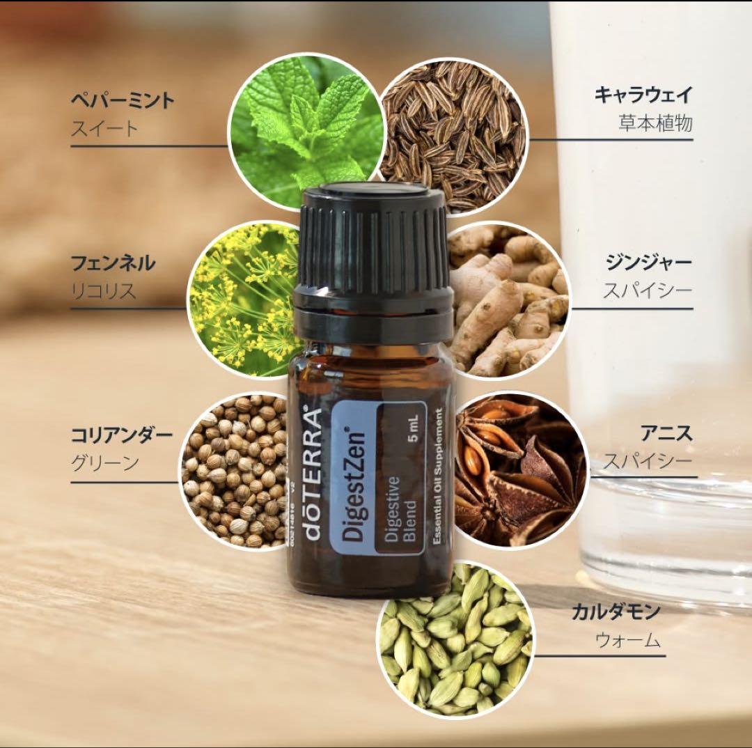 正規品】doTERRA ドテラ ゼンジェスト イージーエア 2本セット