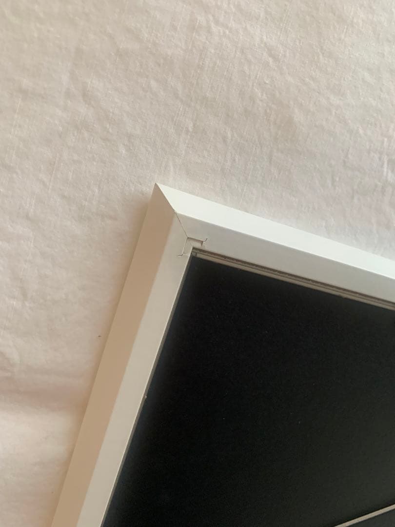 ハシヅメユウヤ サイン付 ハシヅメユウヤ サイン入り