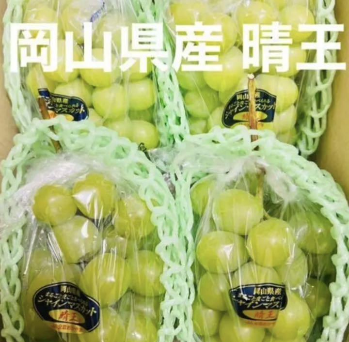 岡山県産 晴王