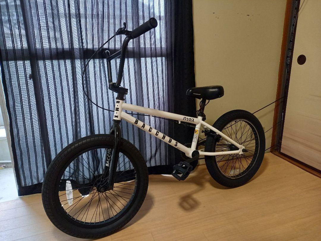 自転車本体 AVASTA Bucchus
